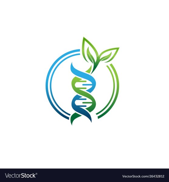 ООО "научно-производственная фирма "Хеликс"