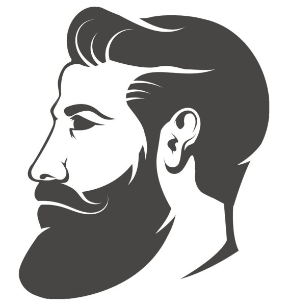 Голова с бородой вектор