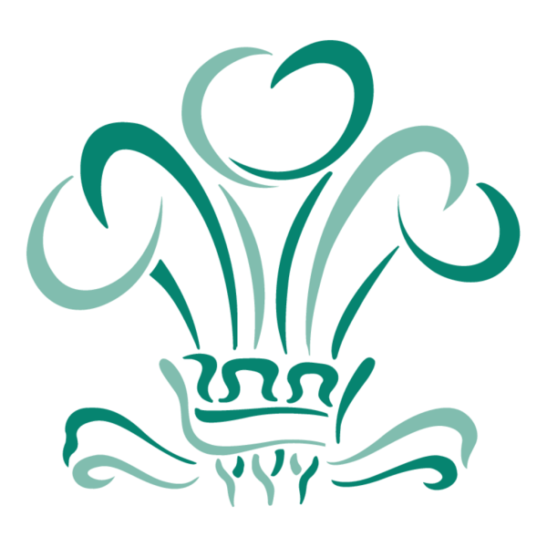 Evenflo логотип