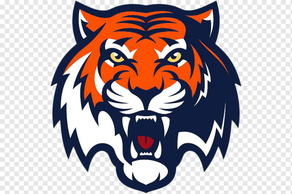 Амур хоккейный клуб эмблема