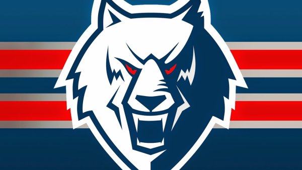 Хк Нефтехимик лого