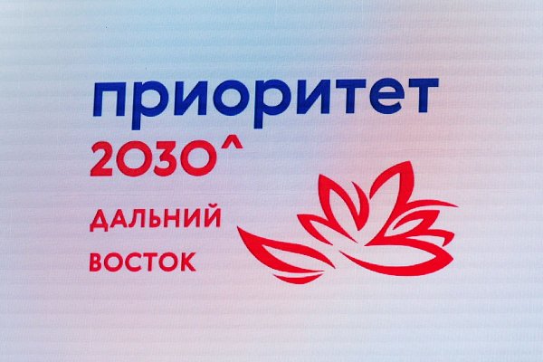 Приоритет 2030 Дальний Восток логотип