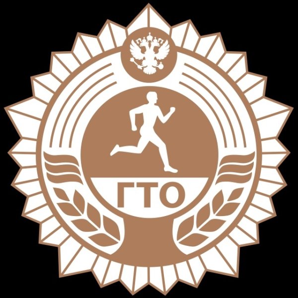 Значки спорт ГТО