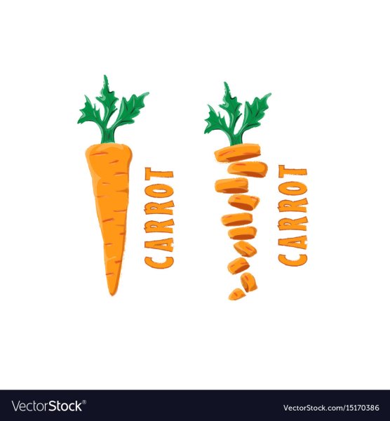 Морковь логотип