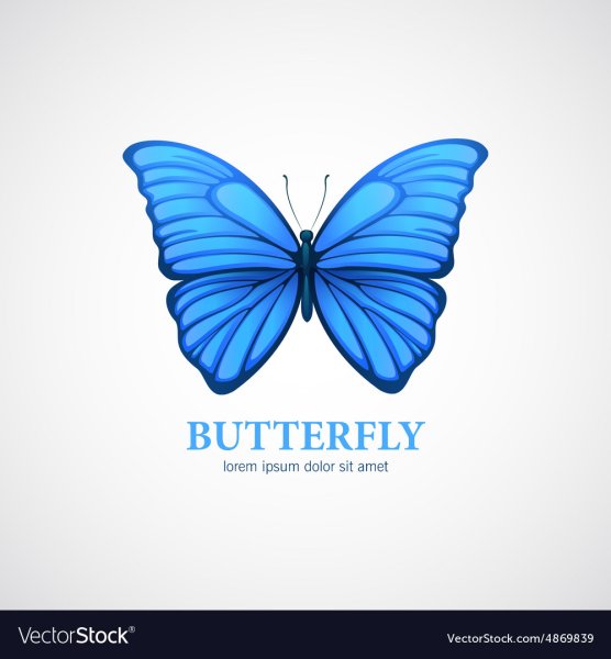 나비 логотип бабочка