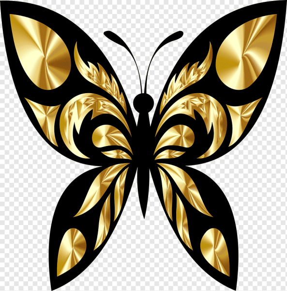 Butterfly shop логотип