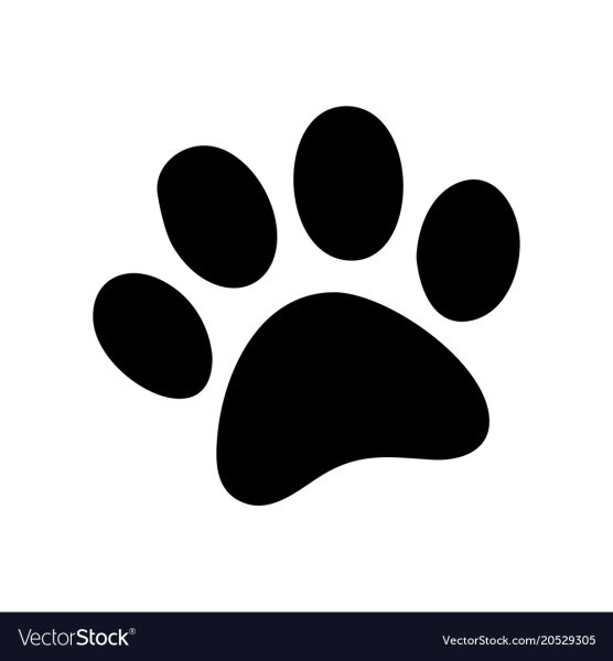 Отпечаток лапы кролика