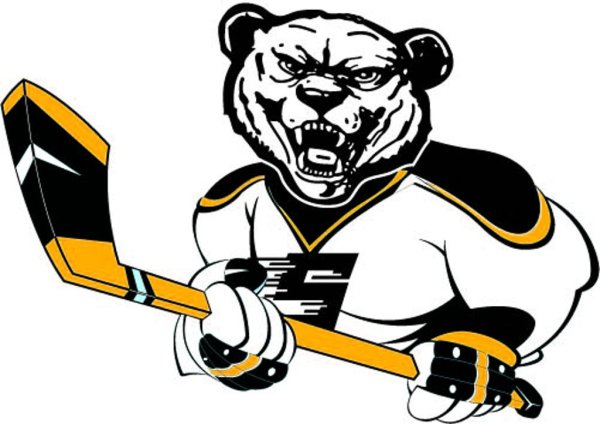 Хоккейный клуб СКА лого