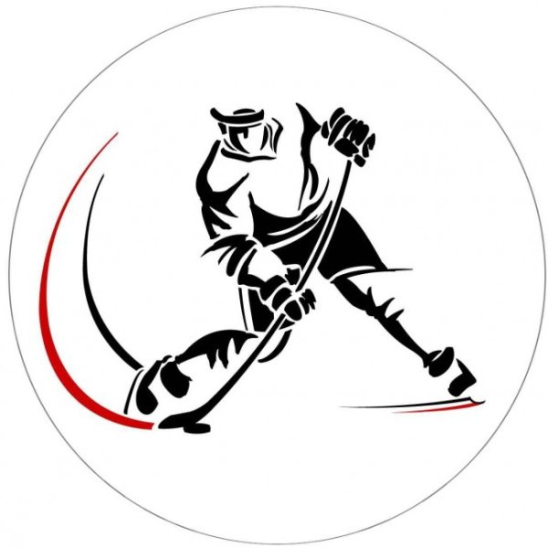 Хоккейная команда Анахайм Дакс