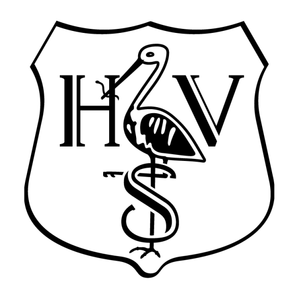 Момолэнд участницы имена