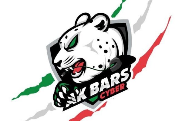 Барс (хоккейный клуб)