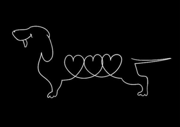 Kangol логотип