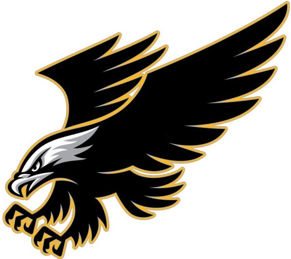 Беркут лого