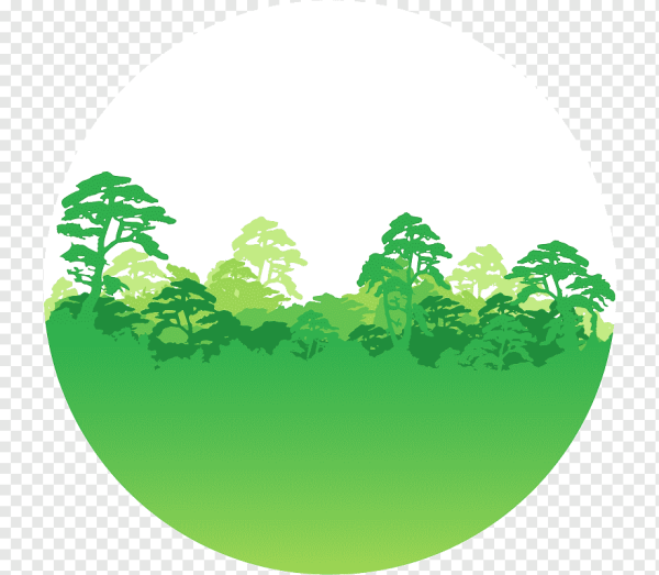 Лес клипарт