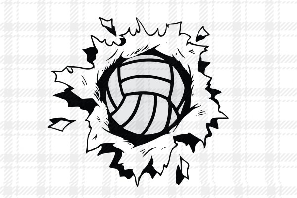 Клещ волейбол вектор прикол чб