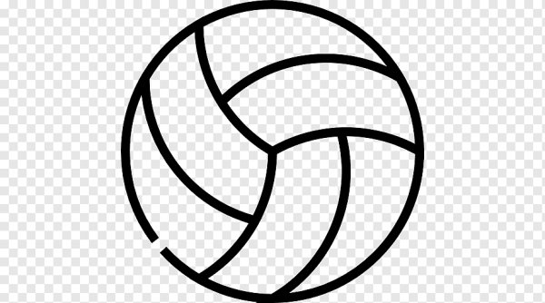 Волейбольный мяч черно белый