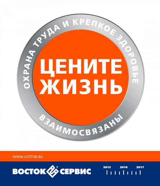 Восток сервис логотип