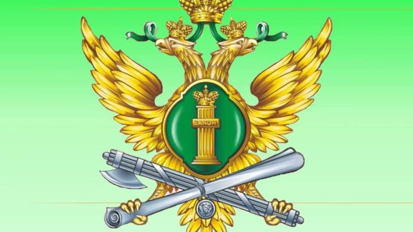 Символика приставов РФ