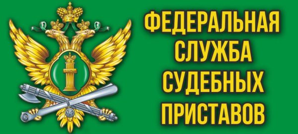 Федеральная служба судебных