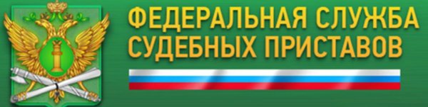 Федеральная служба приставов
