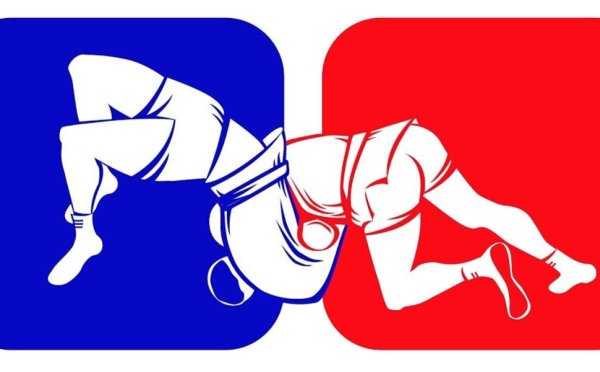 Самбо иллюстрация