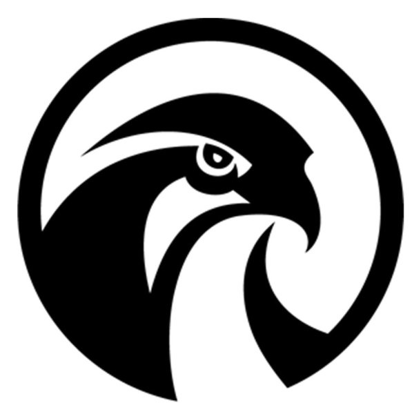 Стилизованное изображение Сокола