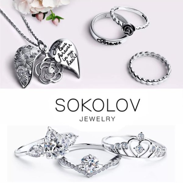 Соколов логотип