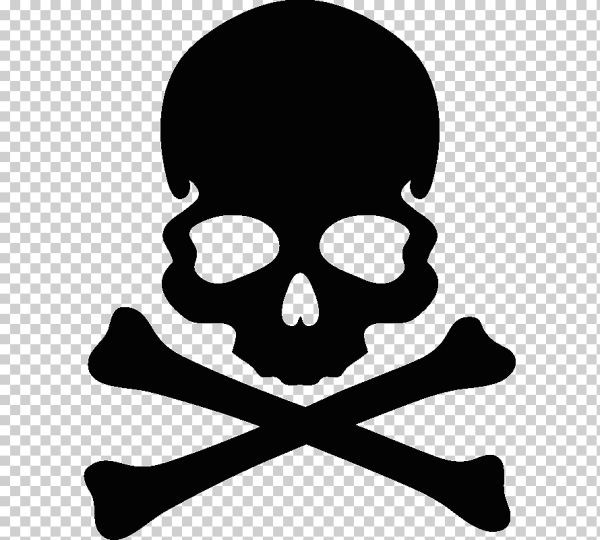 Череп с костями