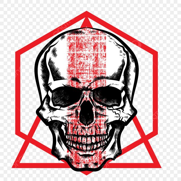 Три черепа в ряд