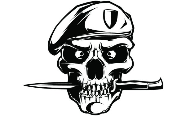 Harley Davidson Skull logo
