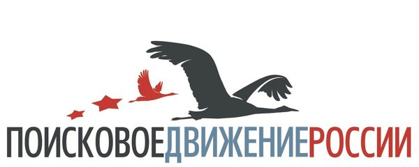 Поисковое движение логотип