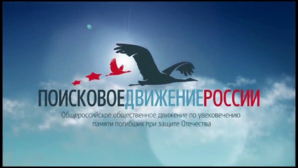 Поисковое движение России