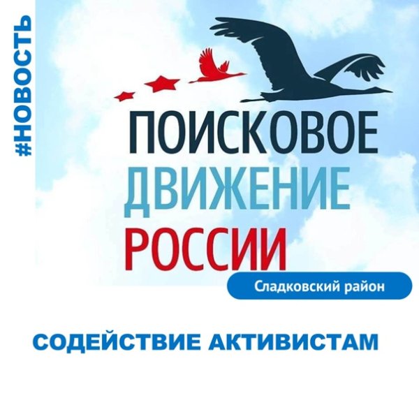 Поисковое движение России эмблема