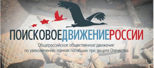 Флаг поискового движения России