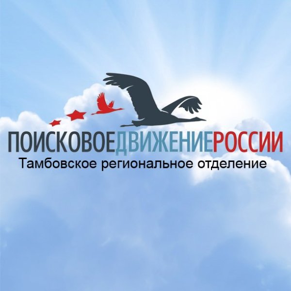 Поисковое движение России