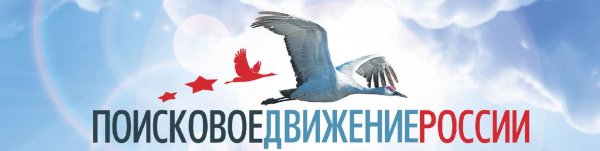 Флаг поискового движения России