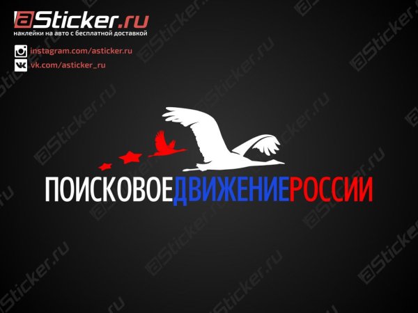 Поисковое движени6е Росси