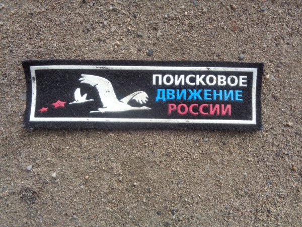 Нашивки поисковое движение