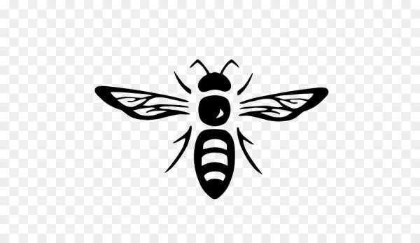 Пчела черно белая на прозрачном фоне