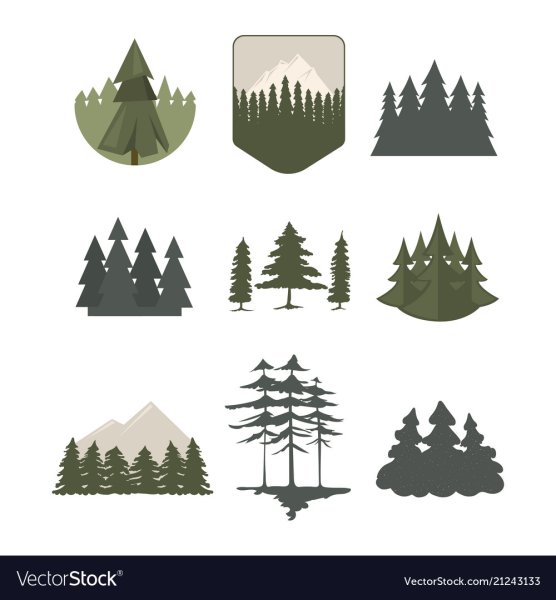 Очертания леса