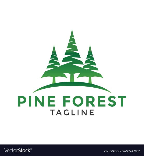 Сосна логотип