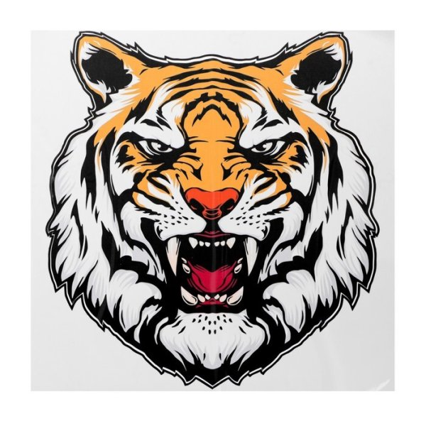 Тигр голова