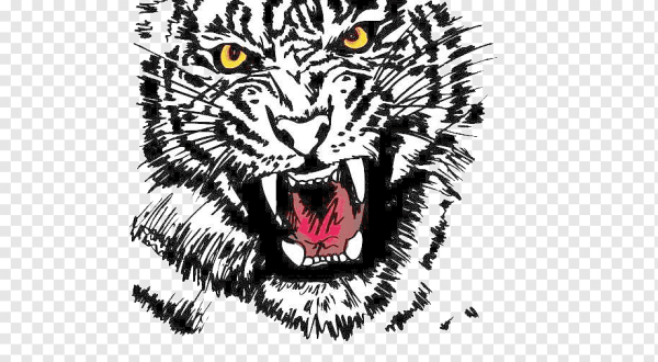 Белый тигр логотип