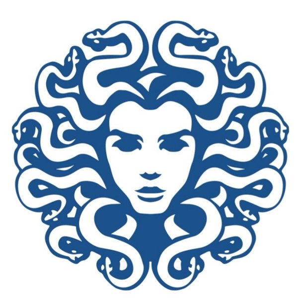 Голова медузы Горгоны вектор