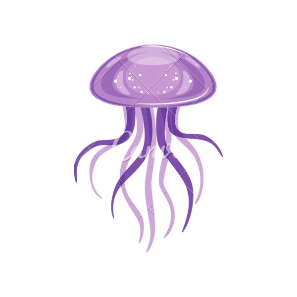 Карточки медуза