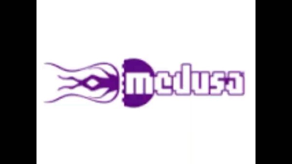 Издательство медуза