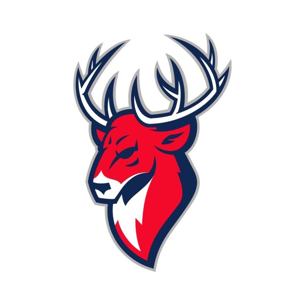 Хк Торпедо лого