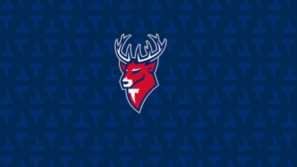 Эмблема Торпедо Нижний Новгород хоккейный клуб