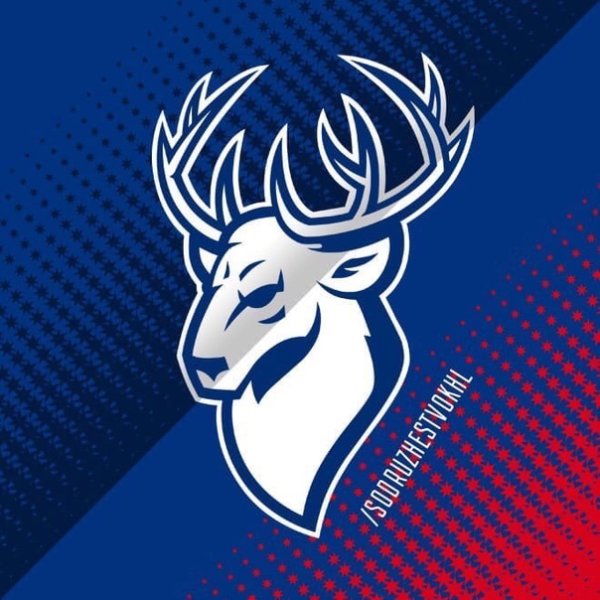 Логотип Торпедо Нижний Новгород хоккей