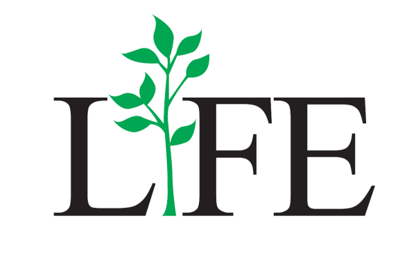 Секонд лайф маркетплейс